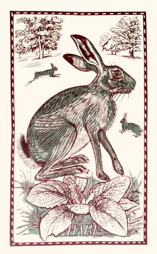 Tea Towel Hare