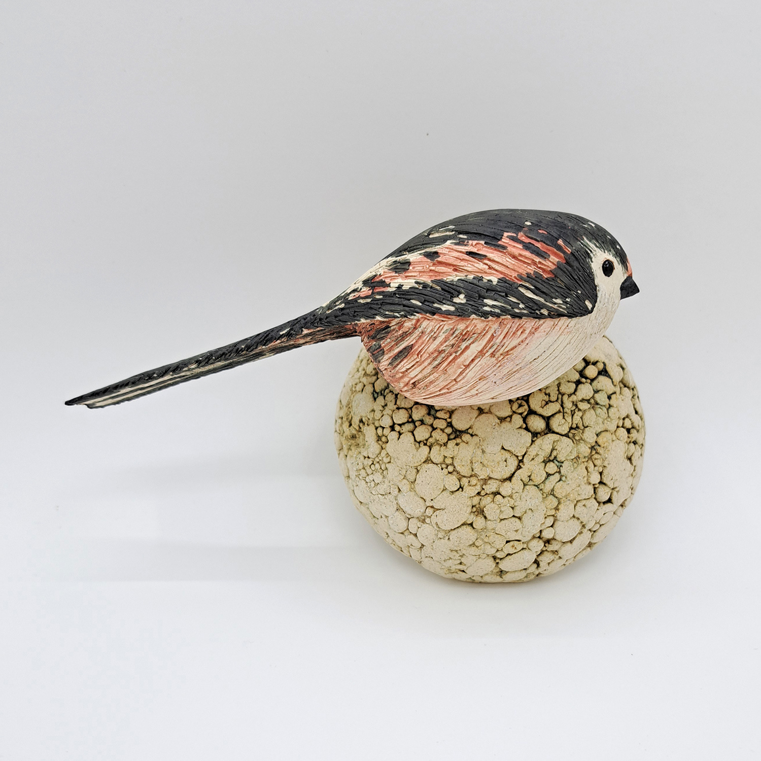 Longtail Tit on Fat Ball by Annie Tortora
