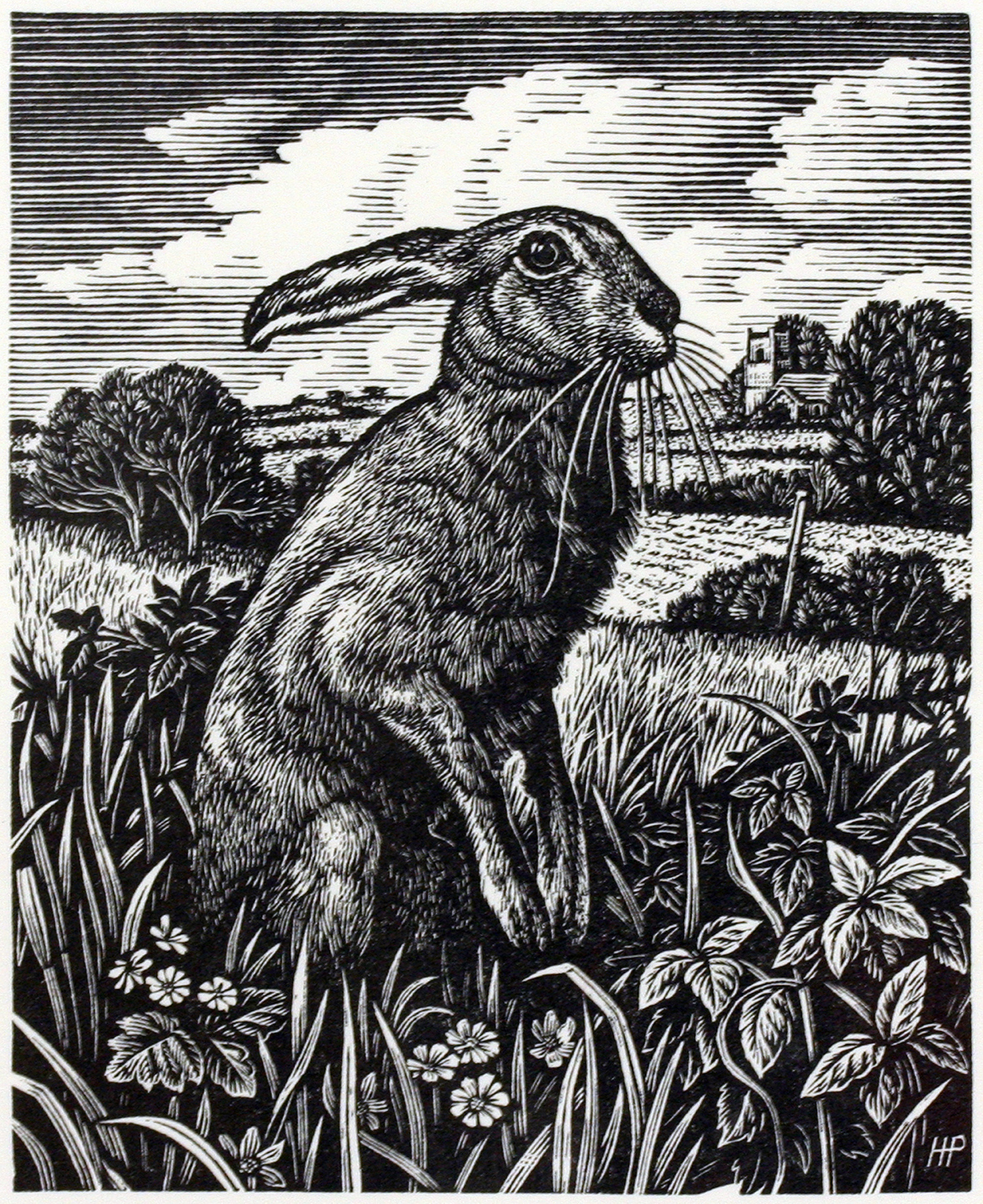 March Hare by Howard Phipps