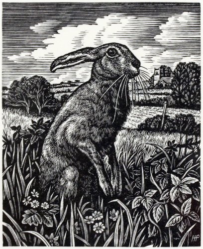 Image of March Hare