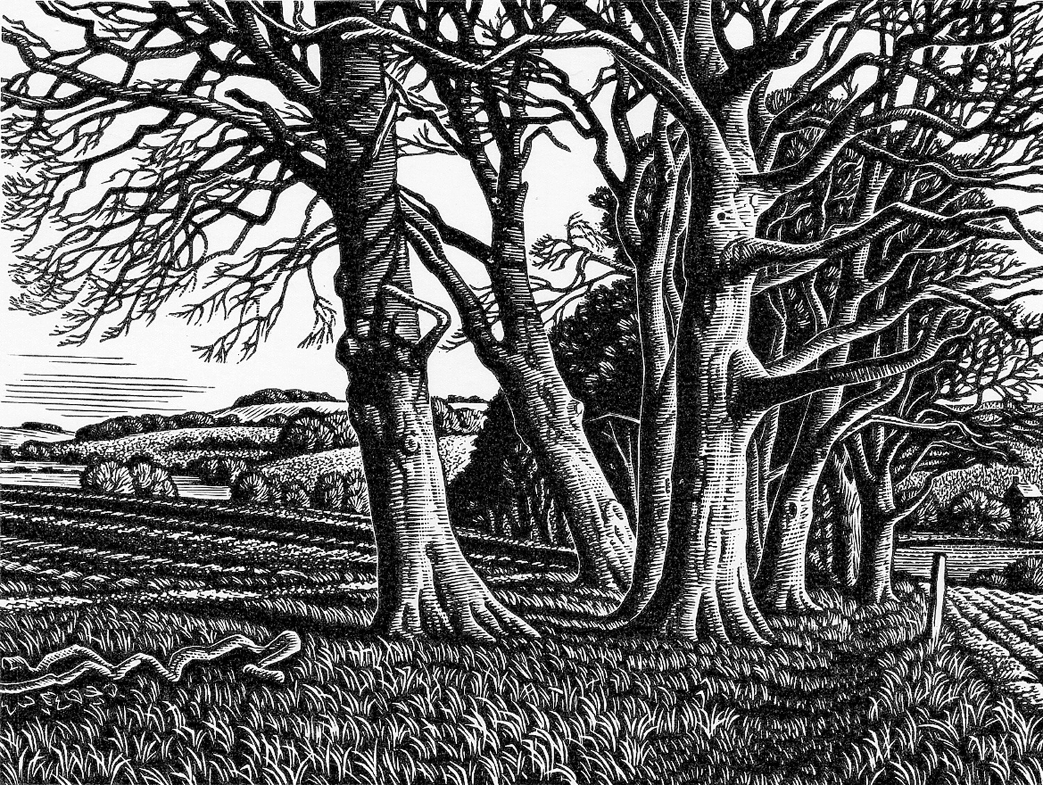 Clearbury Ring from Homington Down by Howard Phipps