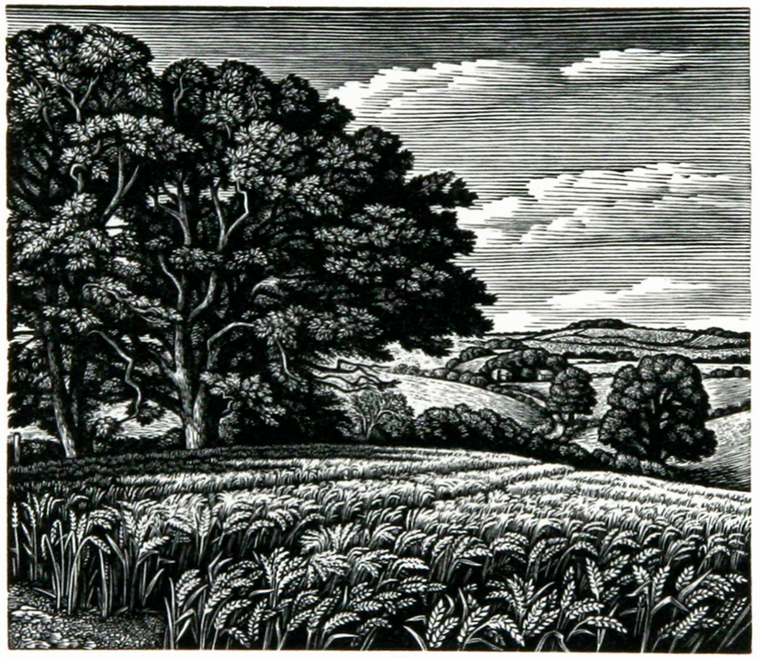 Clearbury Ring from Tower House Meadow by Howard Phipps