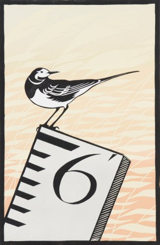 Image of Wagtail