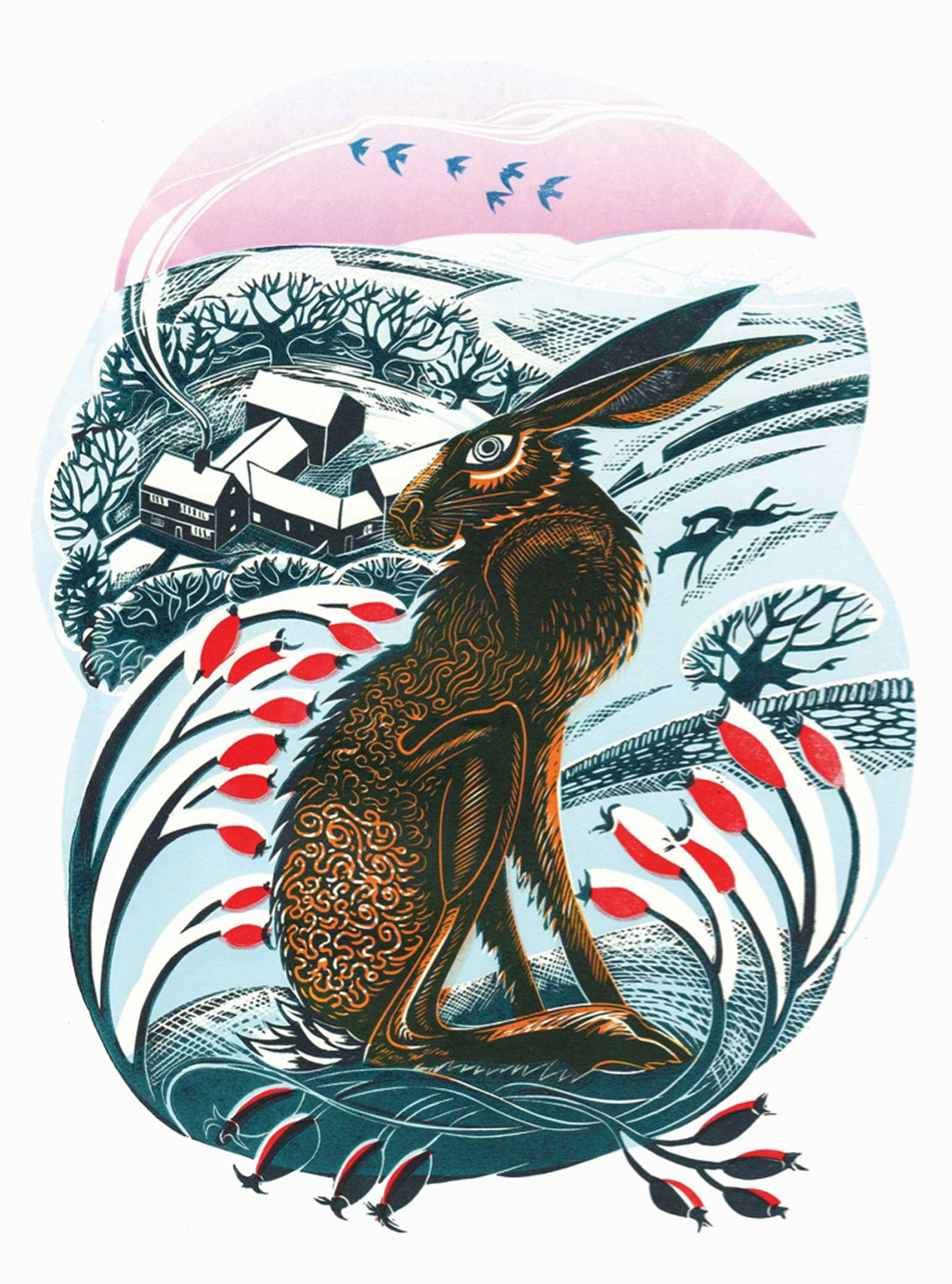 Peak District Hare by Jeremy James