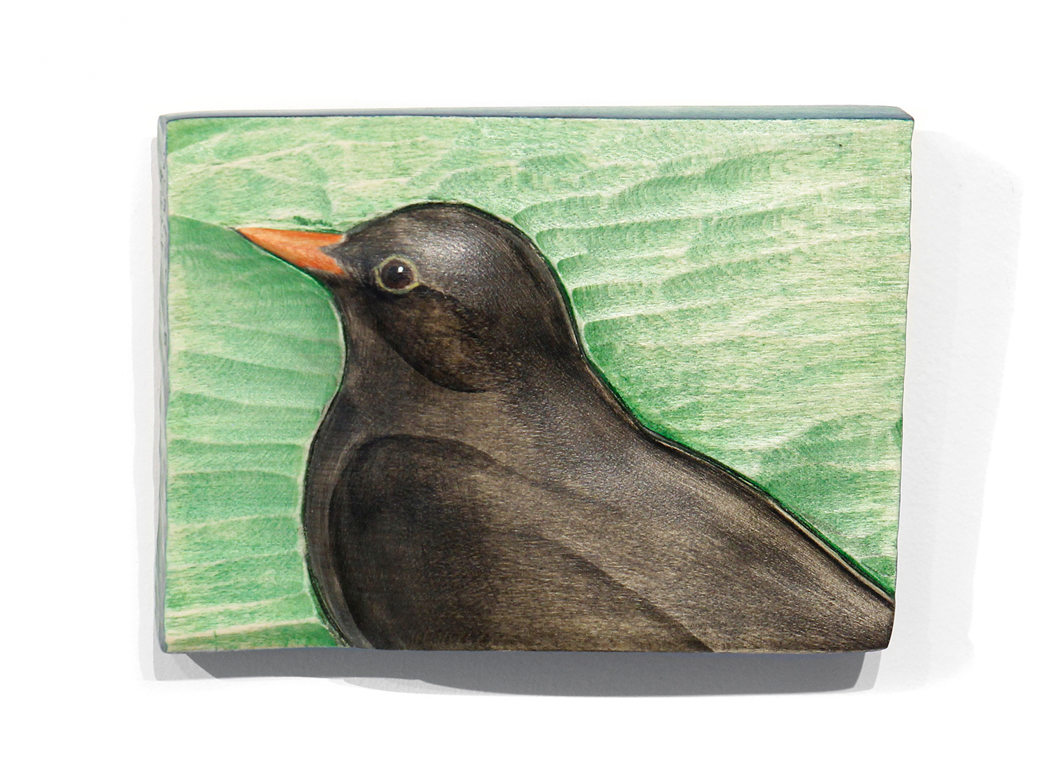 Blackbird by Kathryn O'Kell
