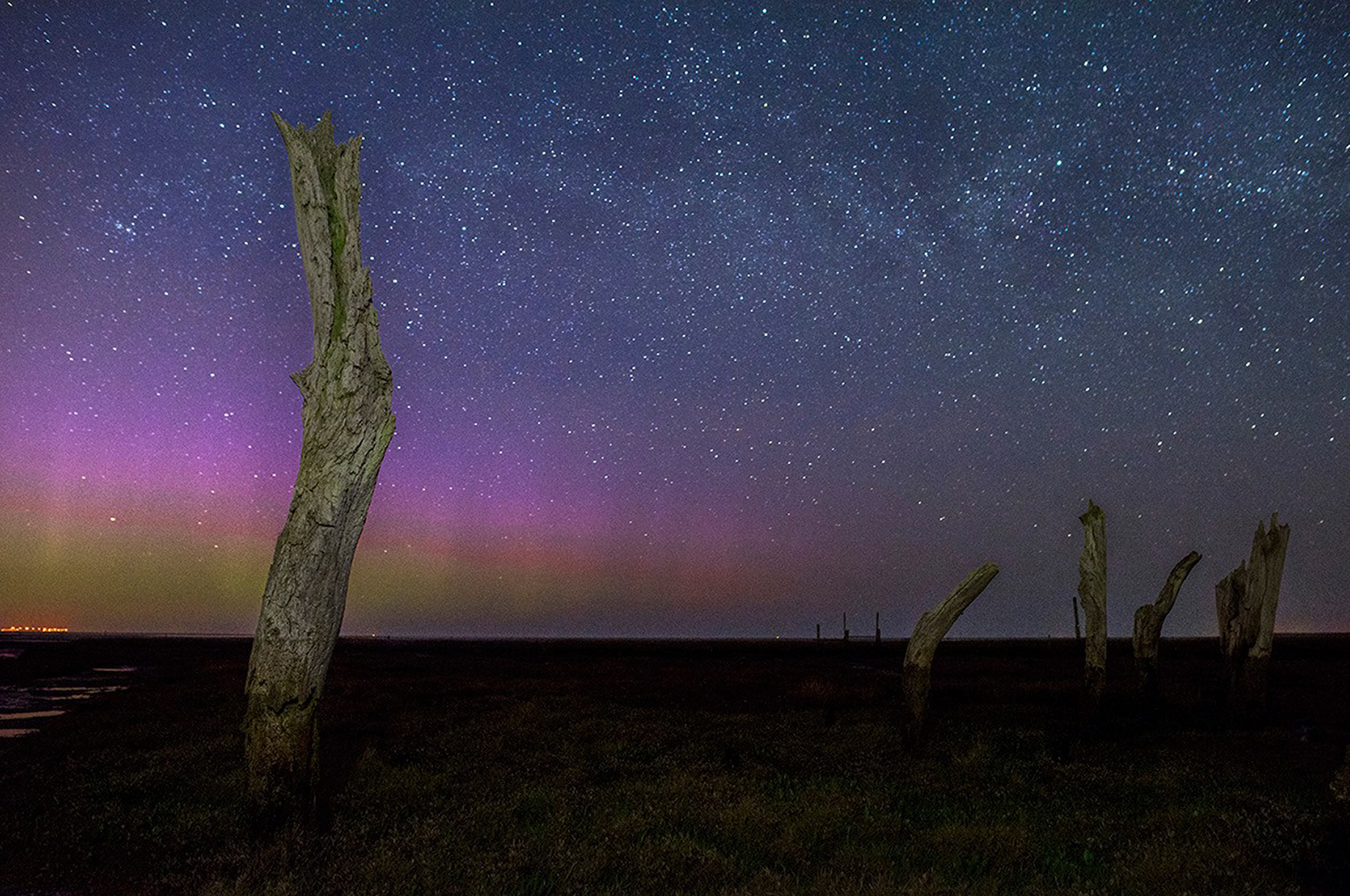 The Aurora over the stumps at Thornham by Matthew Usher