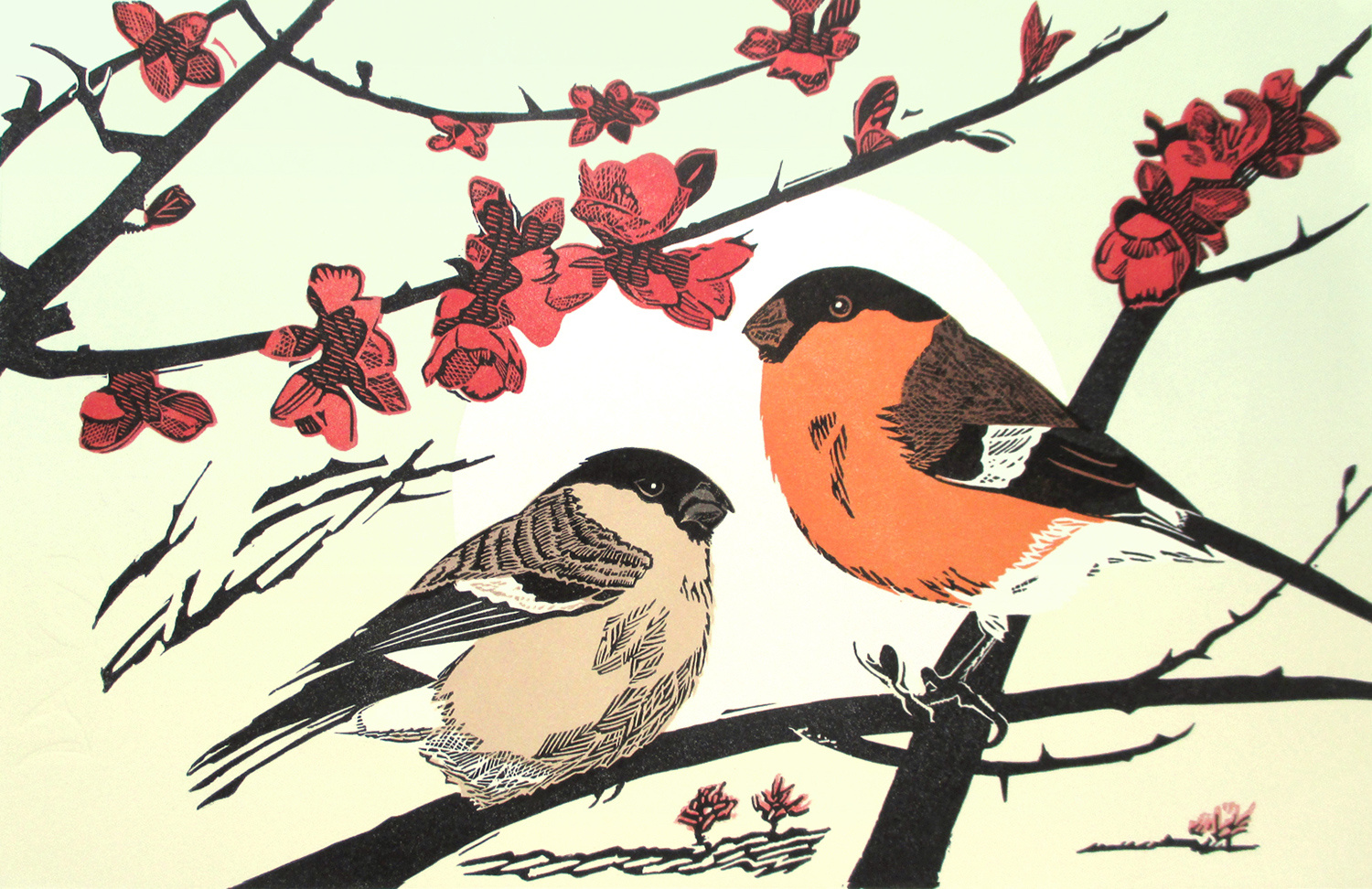 Bullfinches by Pam Grimmond