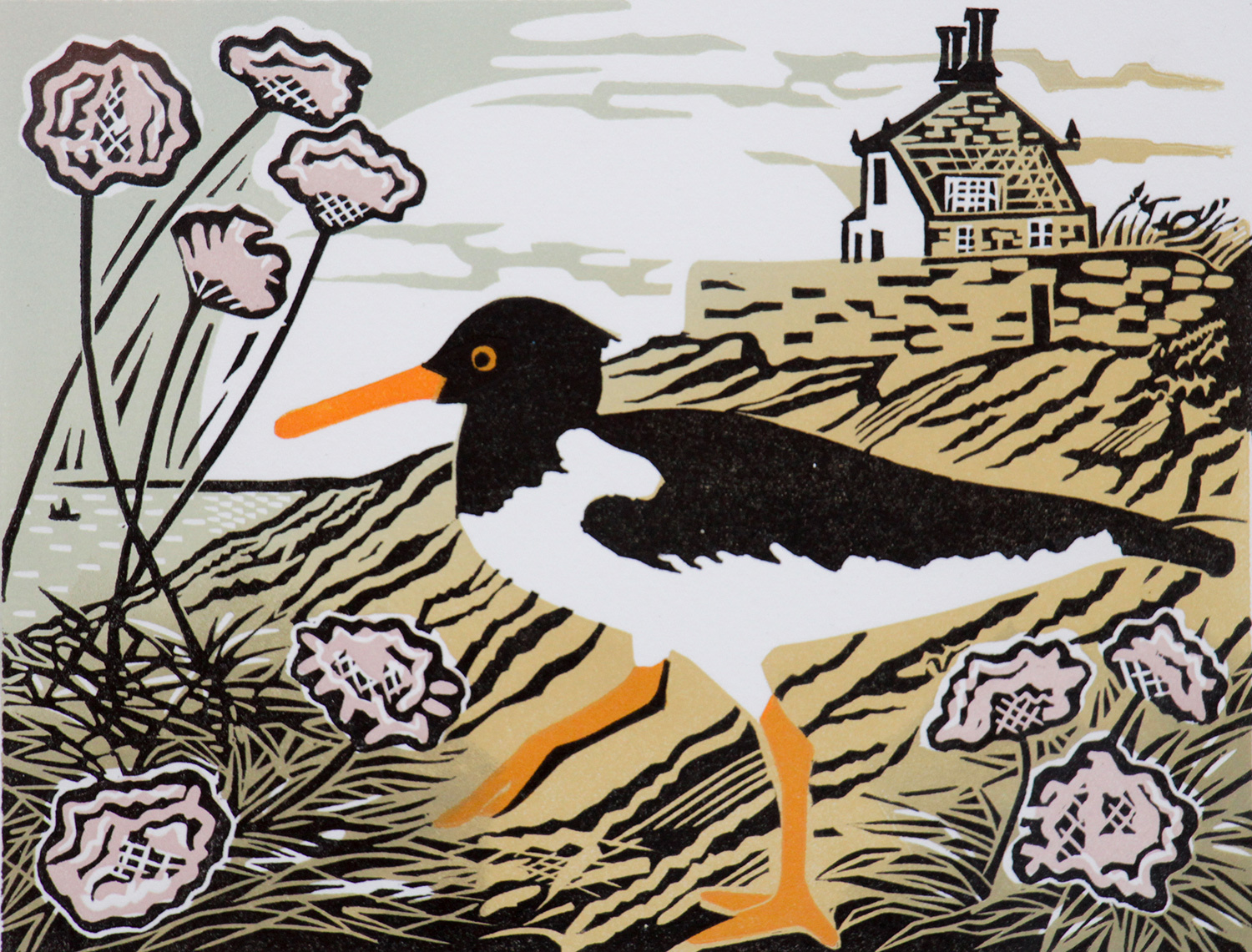 Oystercatcher by Pam Grimmond