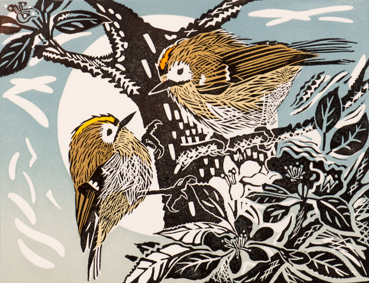 Goldcrests by Pam Grimmond