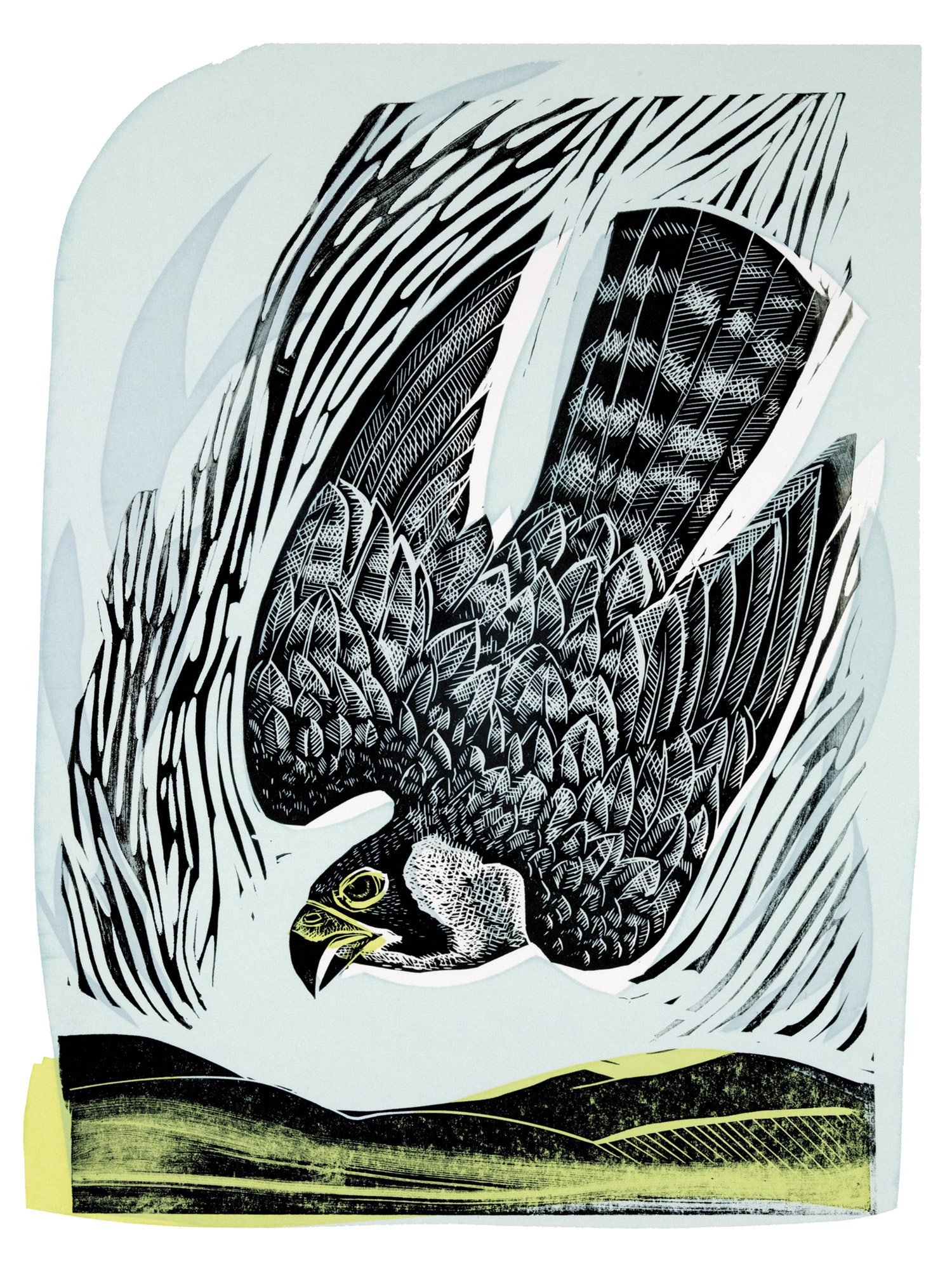 Diving Falcon by Angela Harding