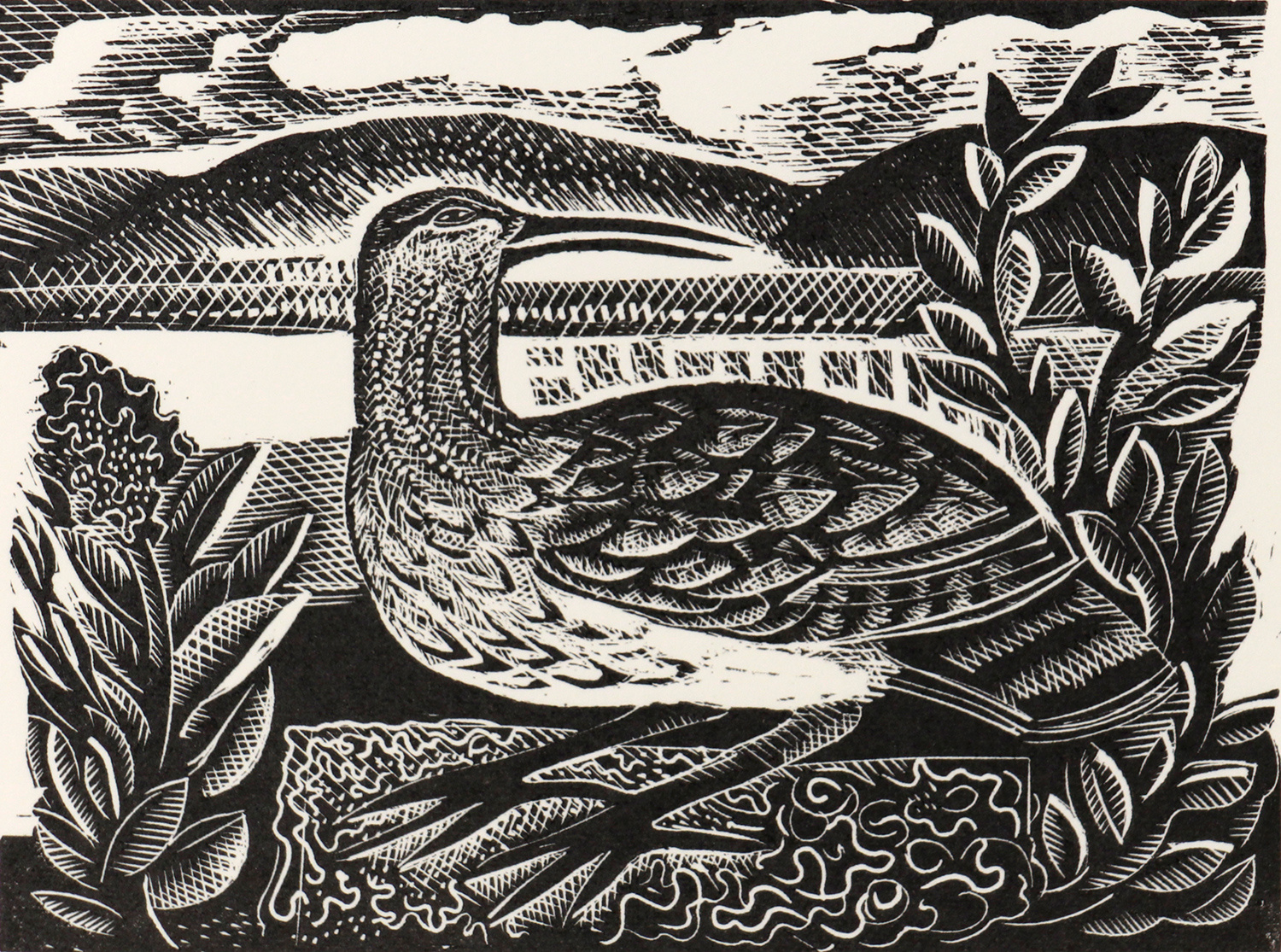 W is for Whimbrel by Angela Harding