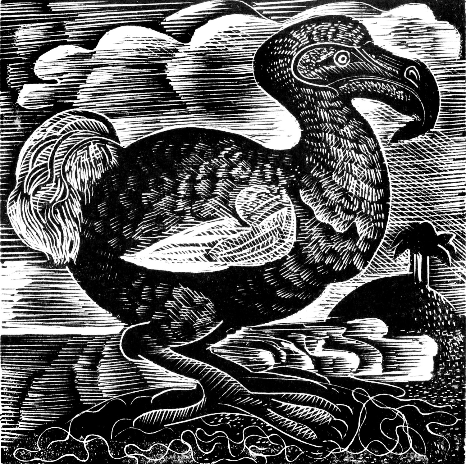 X is for Dodo by Angela Harding