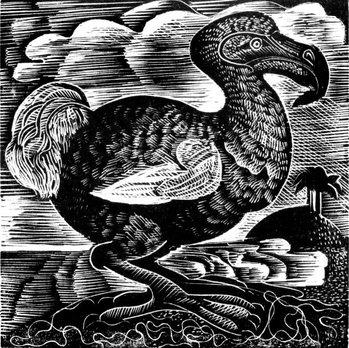 Image of X is for Dodo