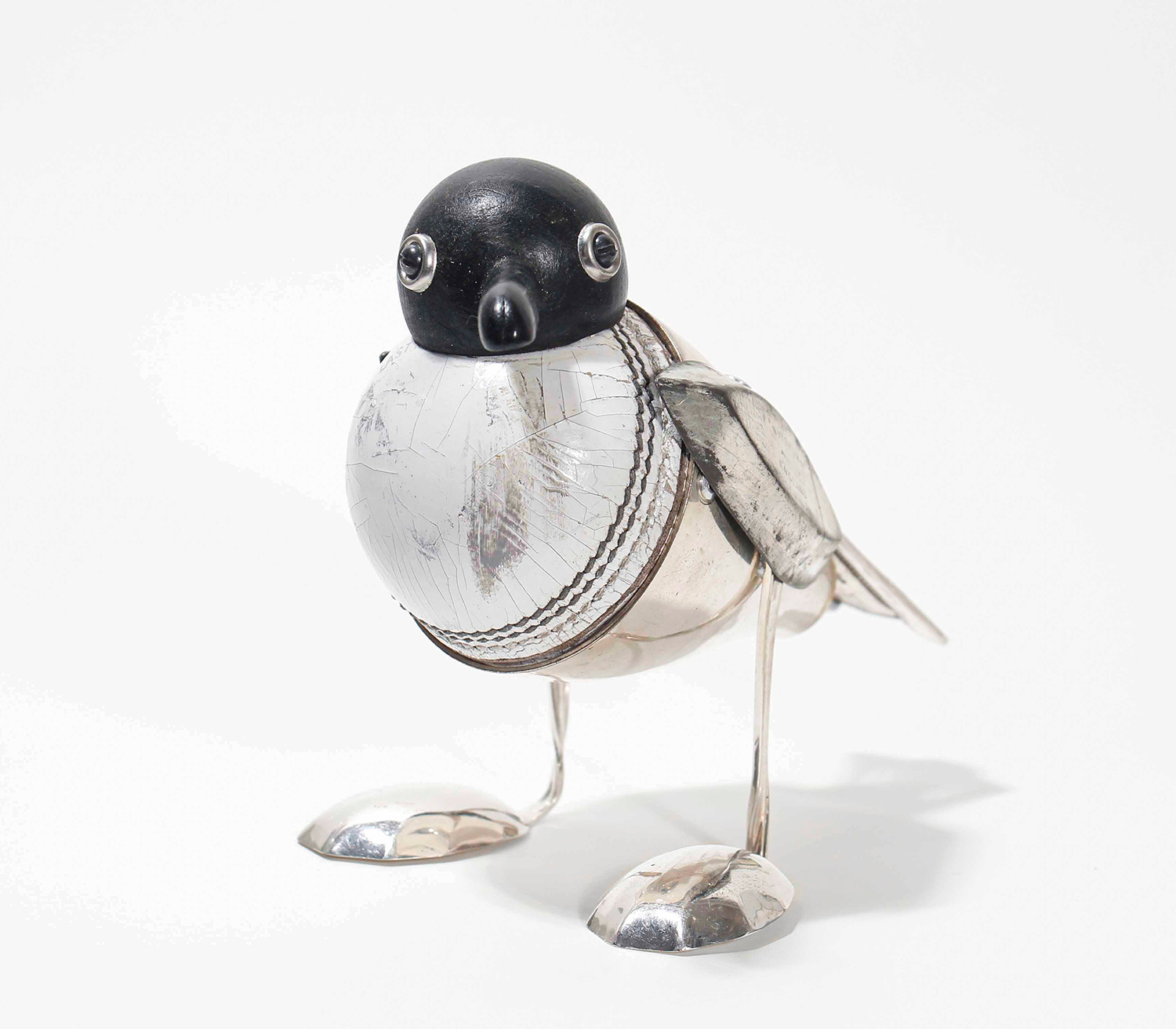 Black-headed Gull by Dean Patman