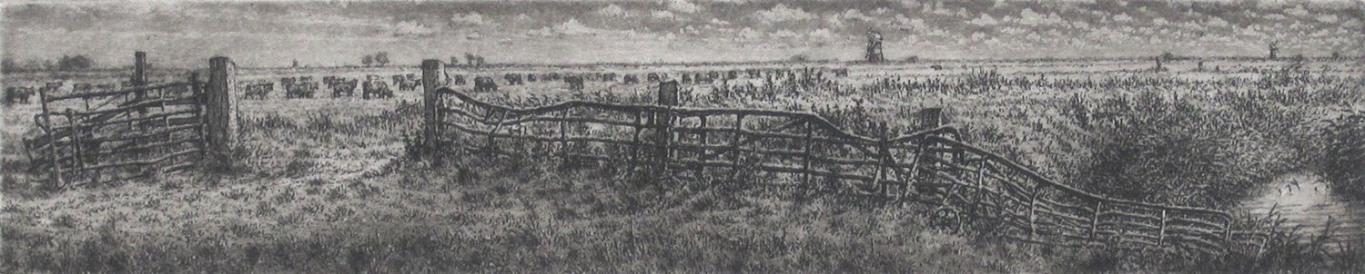 Image of Iron Fences - Halvergate