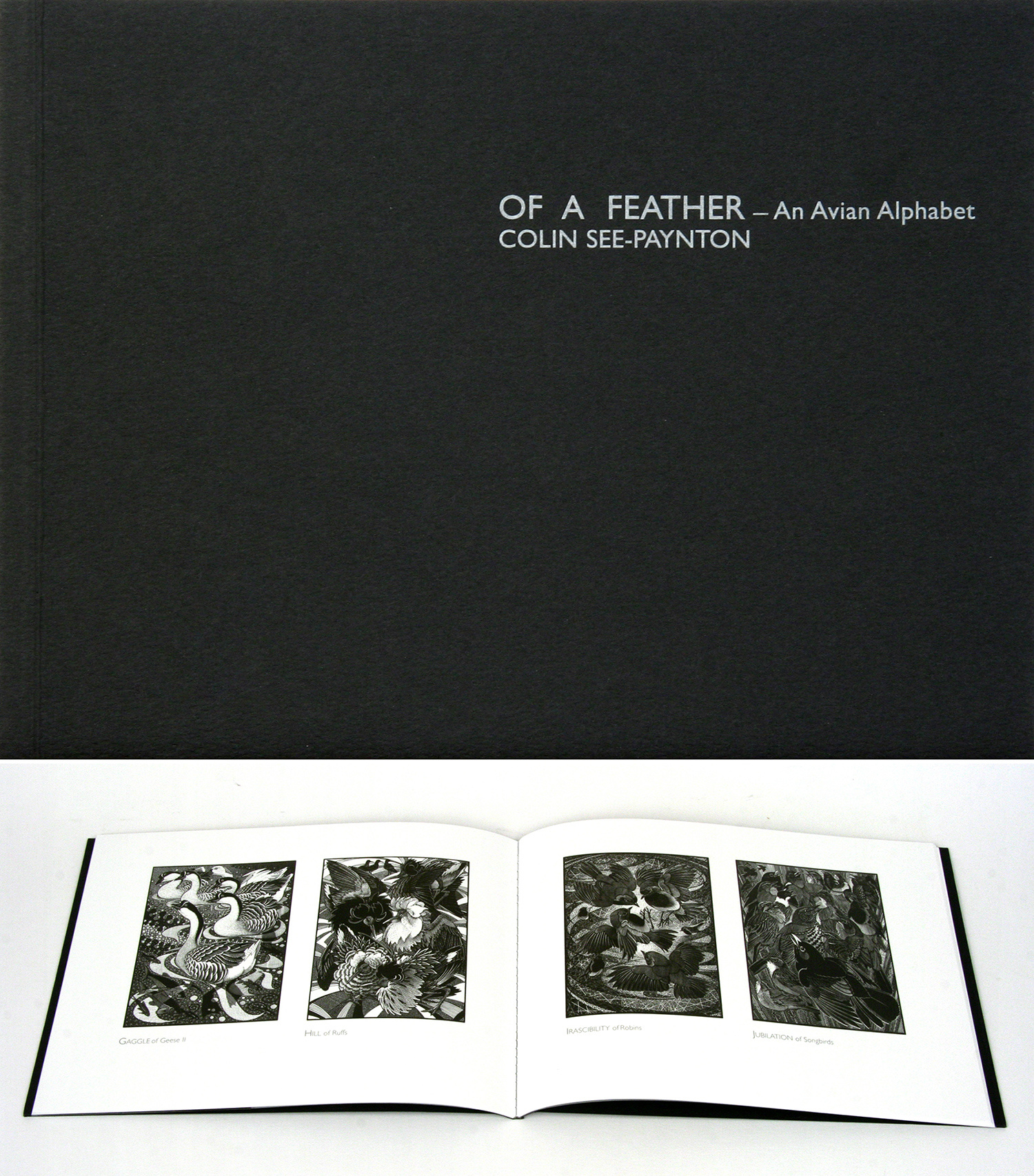Of a Feather-An Avian Alphabet by Colin See-Paynton