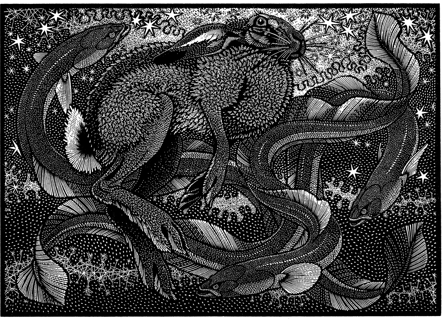 Nocturnal Encounters-Hare and Eels by Colin See-Paynton