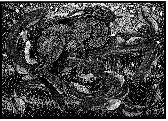 Image of Nocturnal Encounters-Hare and Eels
