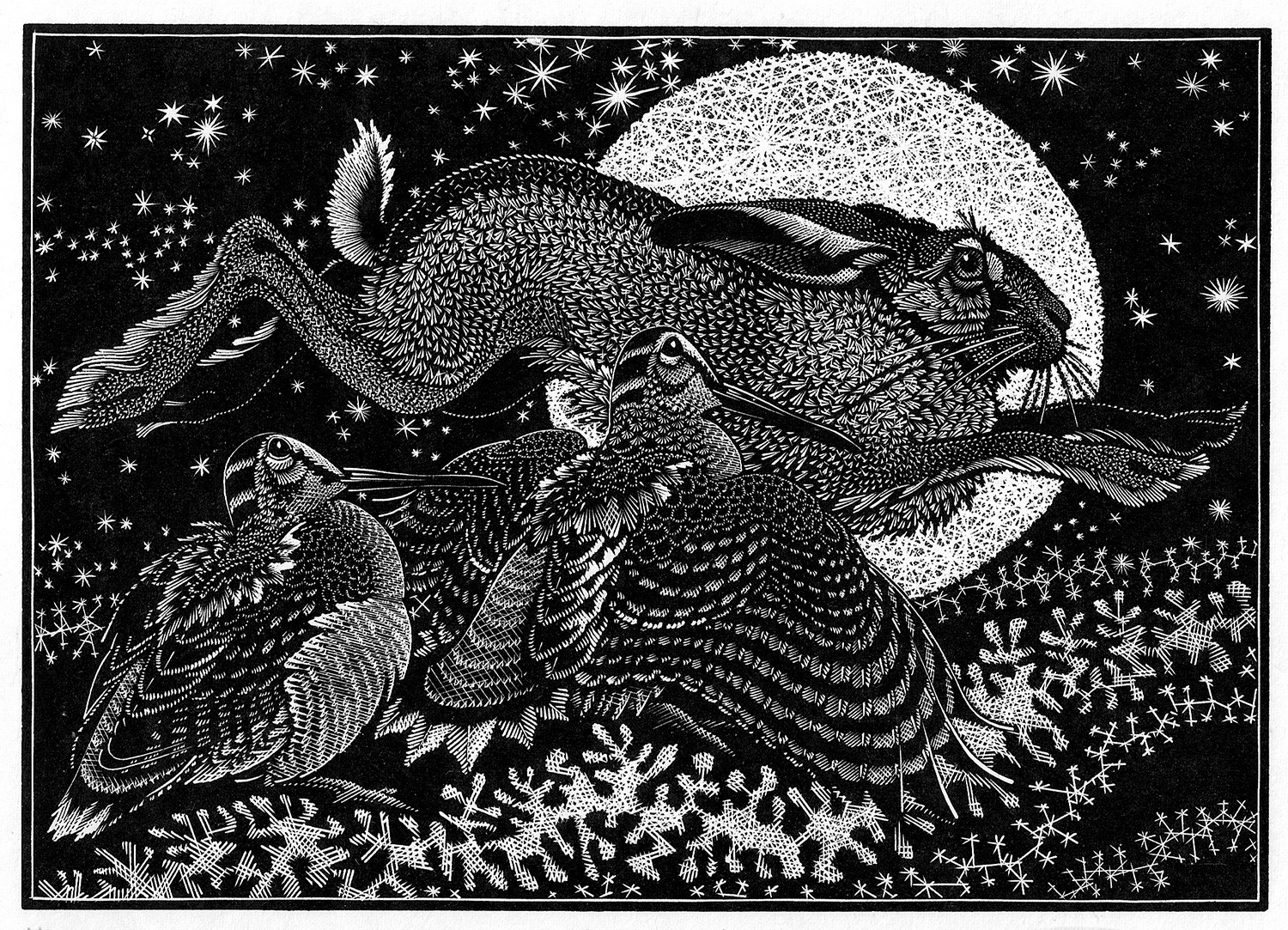 Nocturnal Encounters-Hare and Woodcocks by Colin See-Paynton