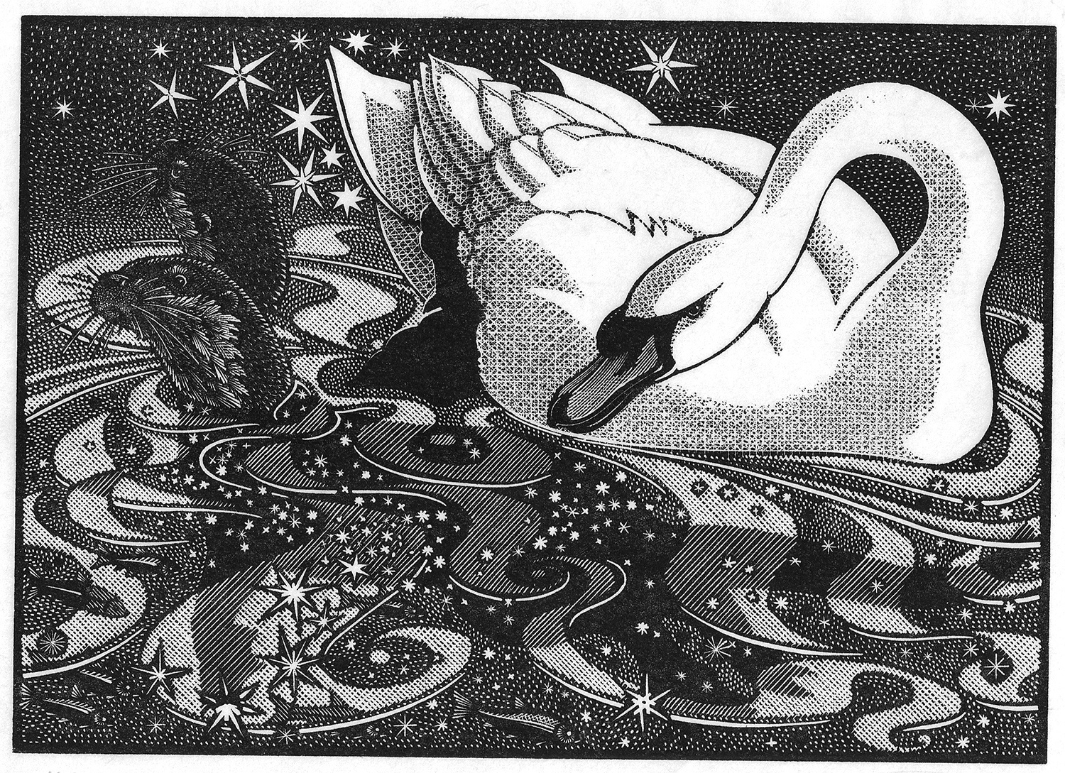 Nocturnal Encounters-Swan and Otters by Colin See-Paynton