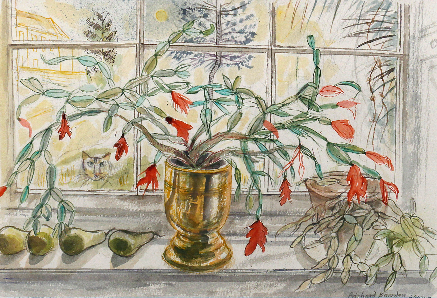 Christmas Cactus by Richard Bawden