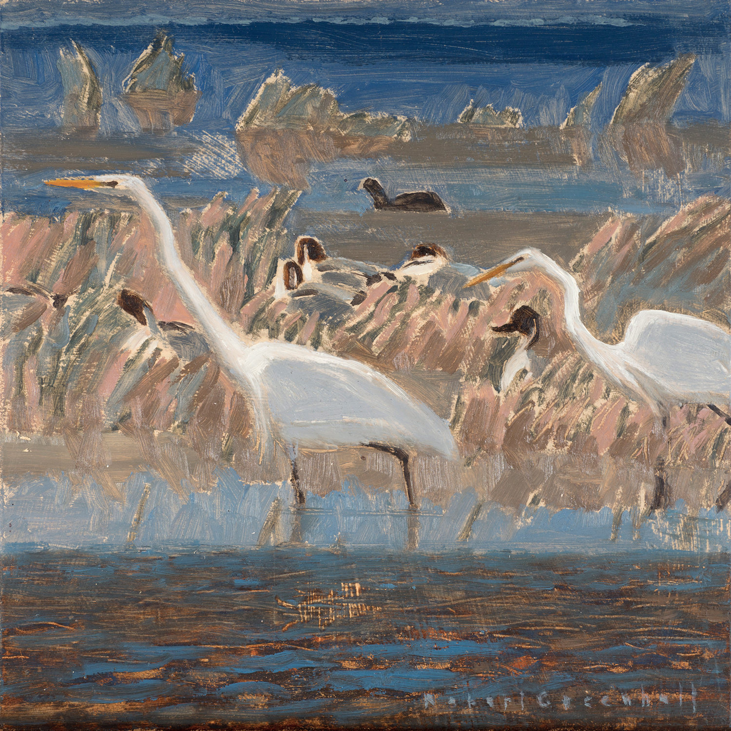 Great White Egrets and Pintails by Robert Greenhalf