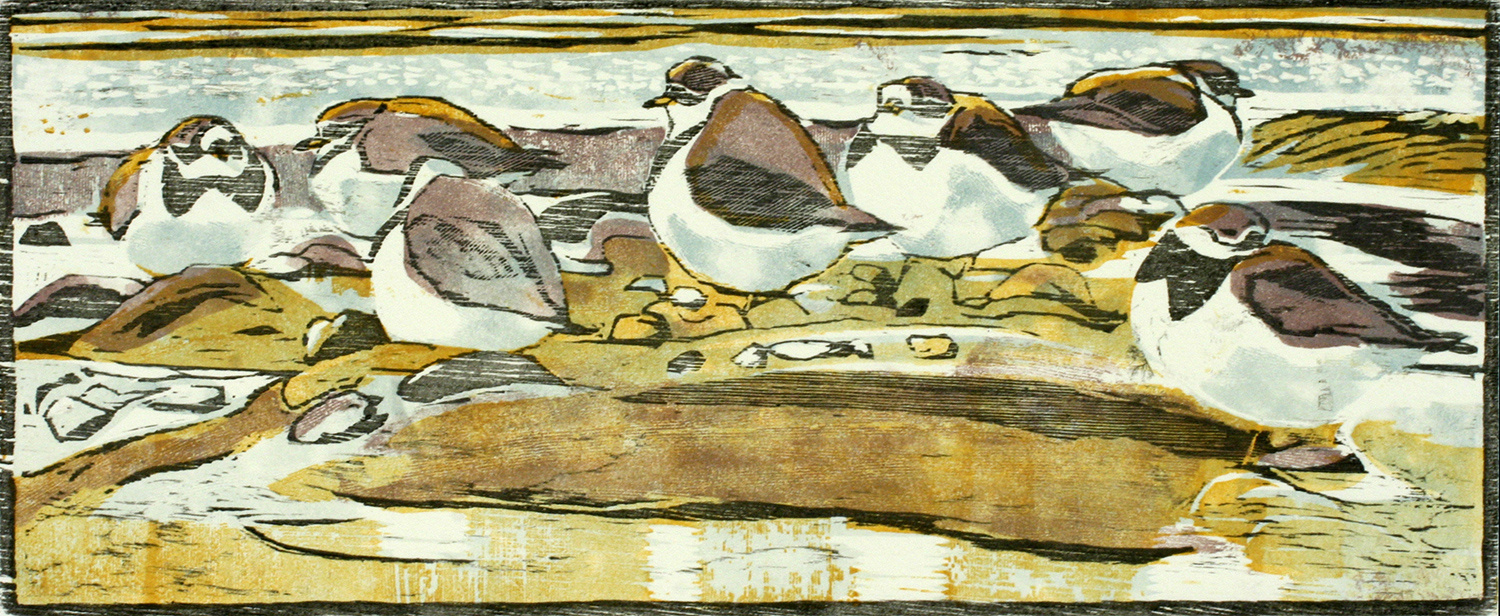 Ringed Plovers by Robert Greenhalf