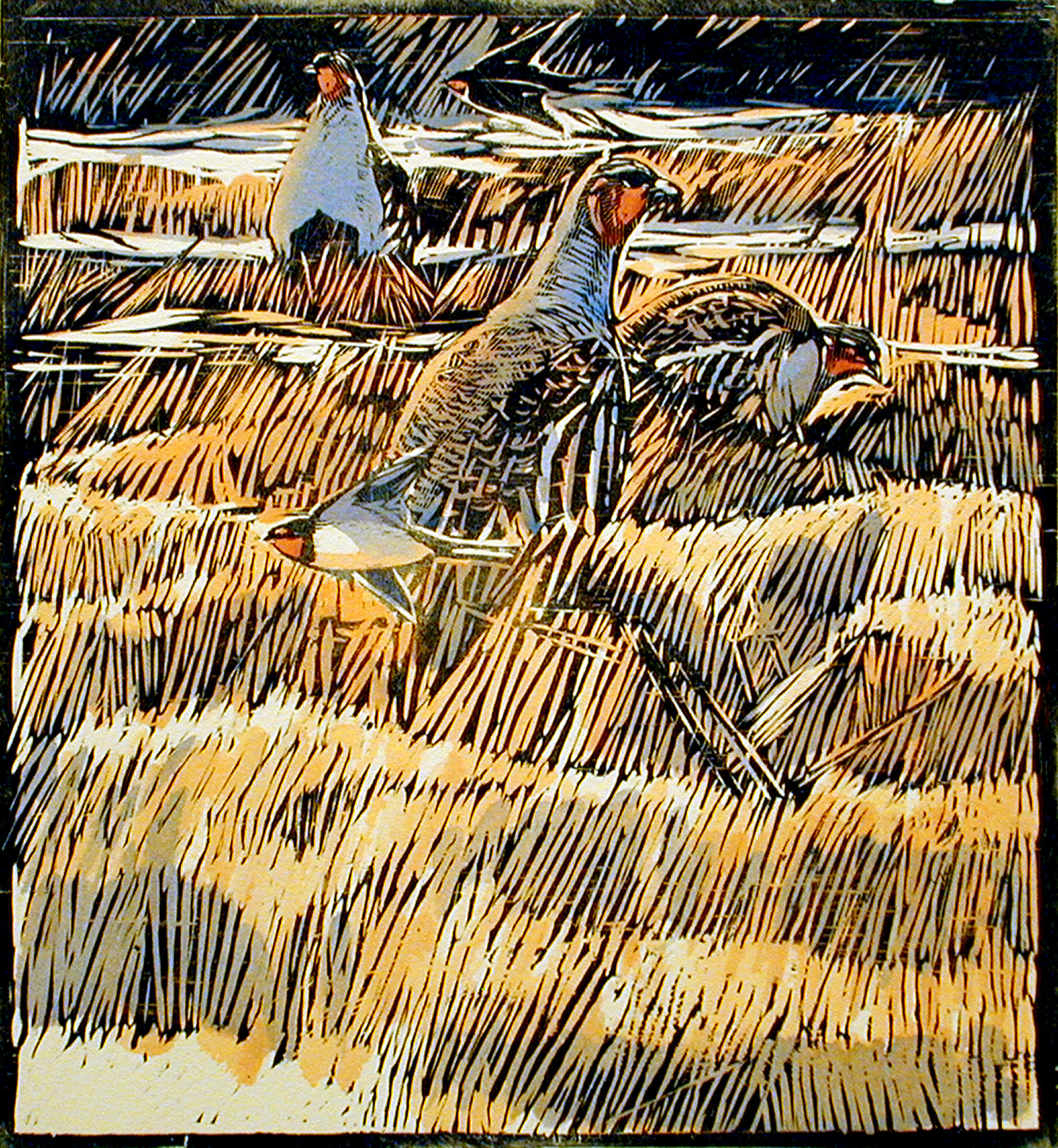 Partridges & Swallows by Robert Greenhalf