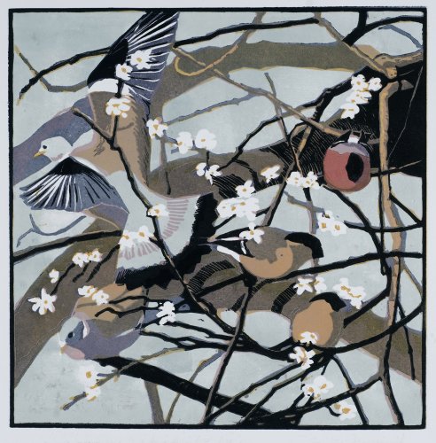 Image of Bullfinches & Woodpigeons