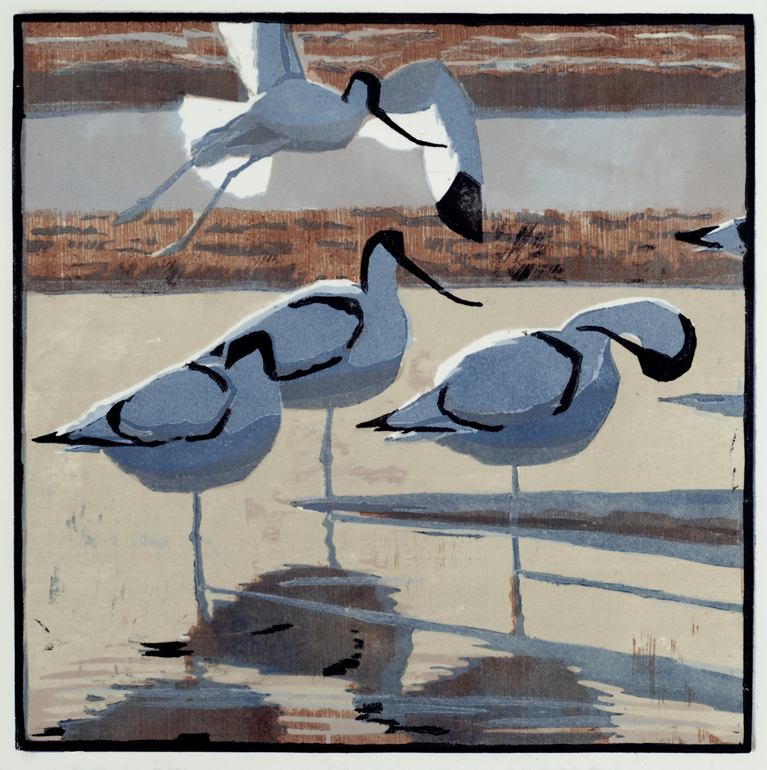 Four Avocets by Robert Greenhalf