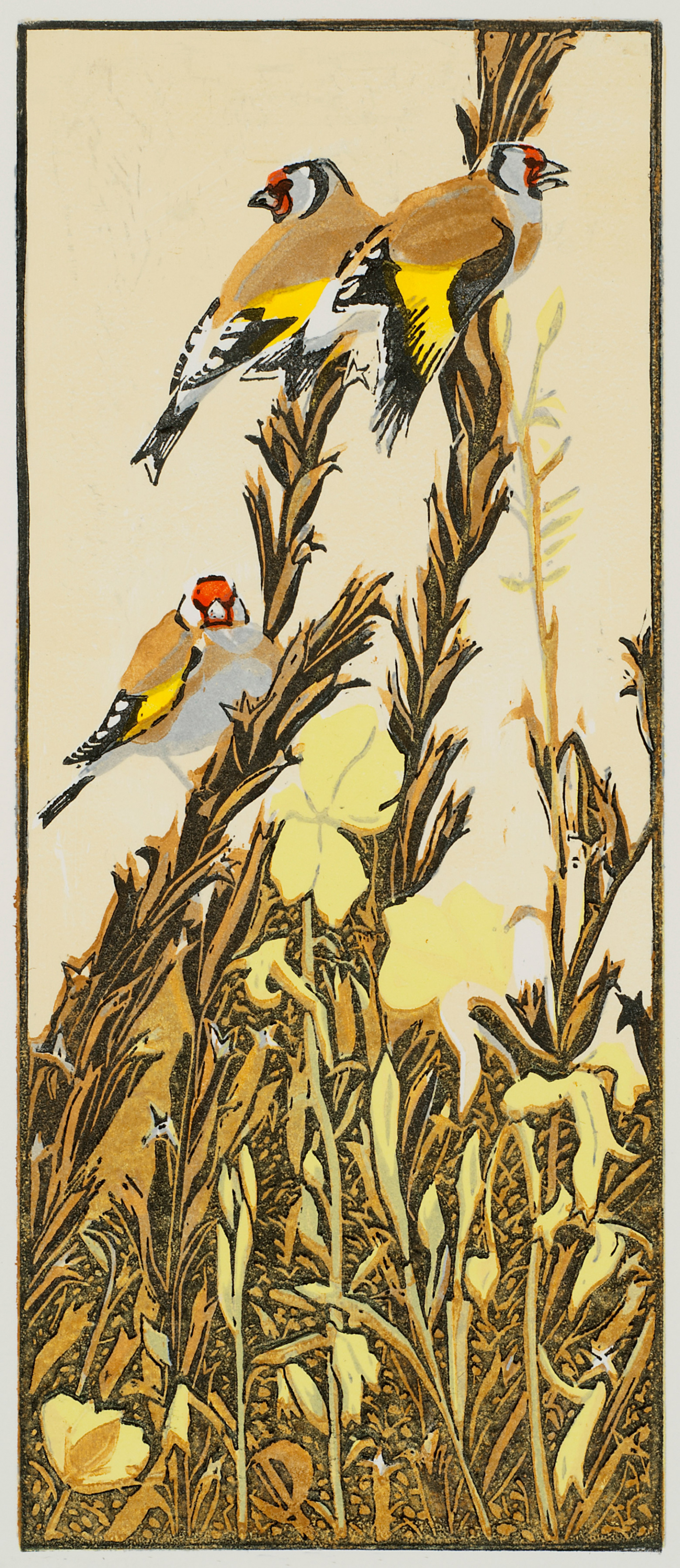 Goldfinches & Evening Primroses by Robert Greenhalf