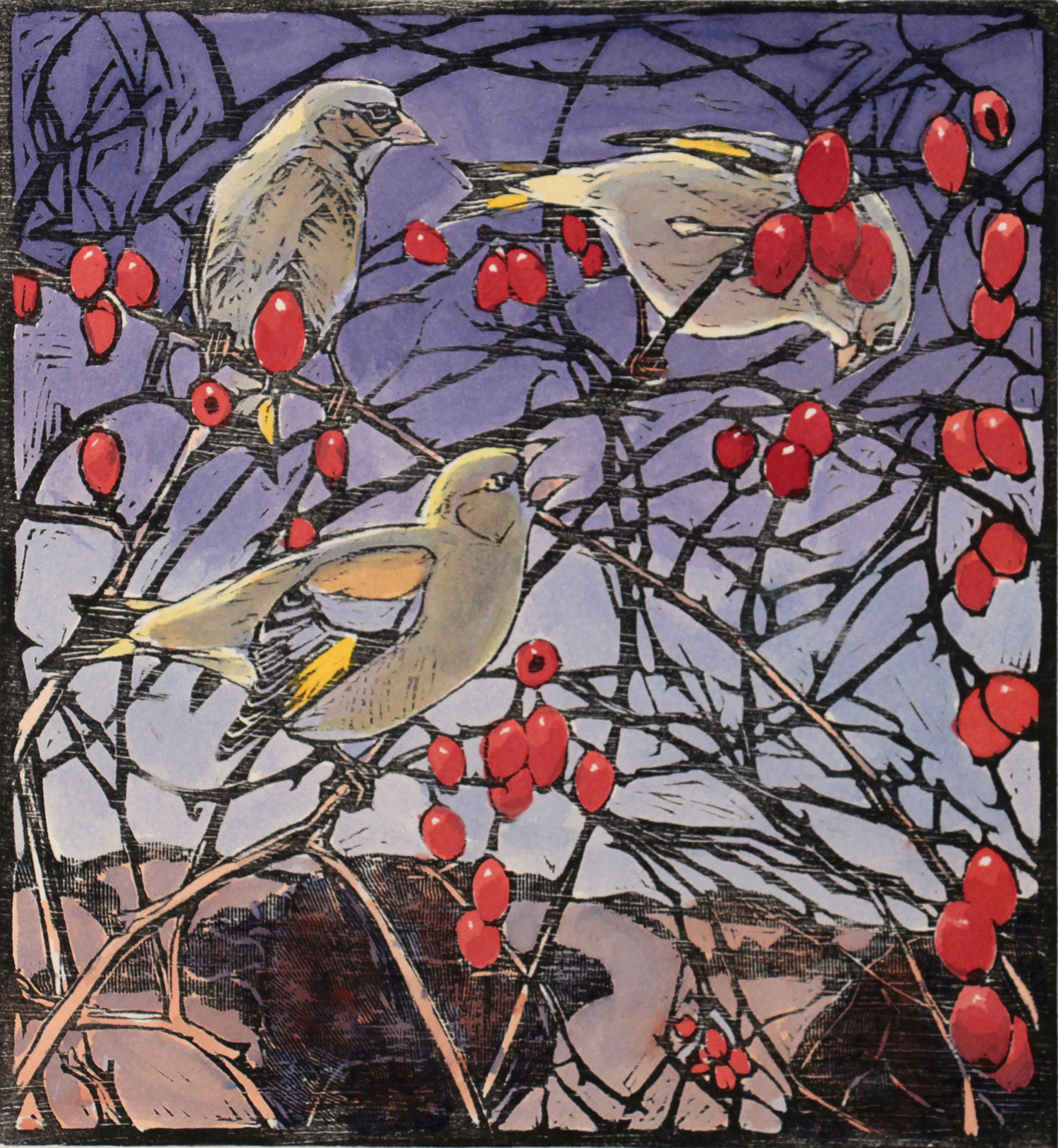 Greenfinches by Robert Greenhalf