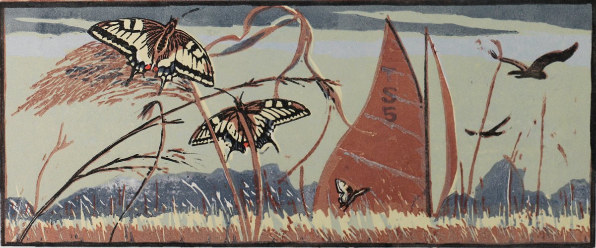 Image of Swallowtails