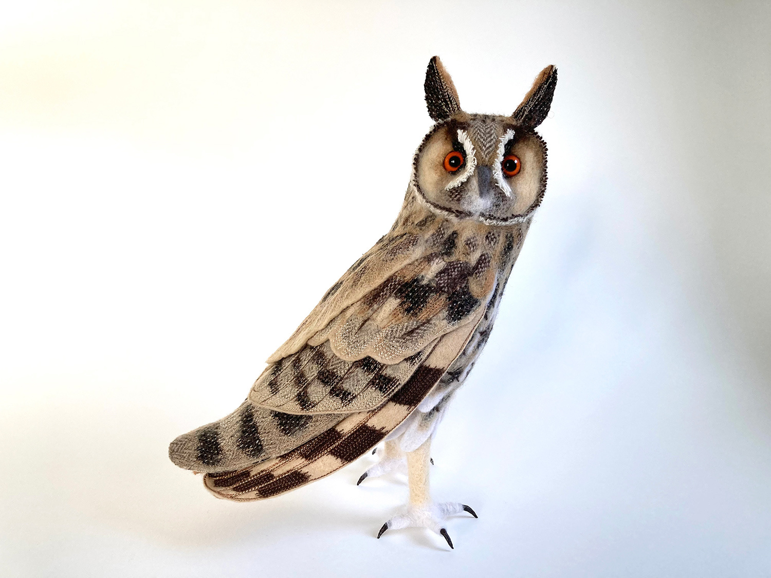 Long-eared Owl by Russell Wilson
