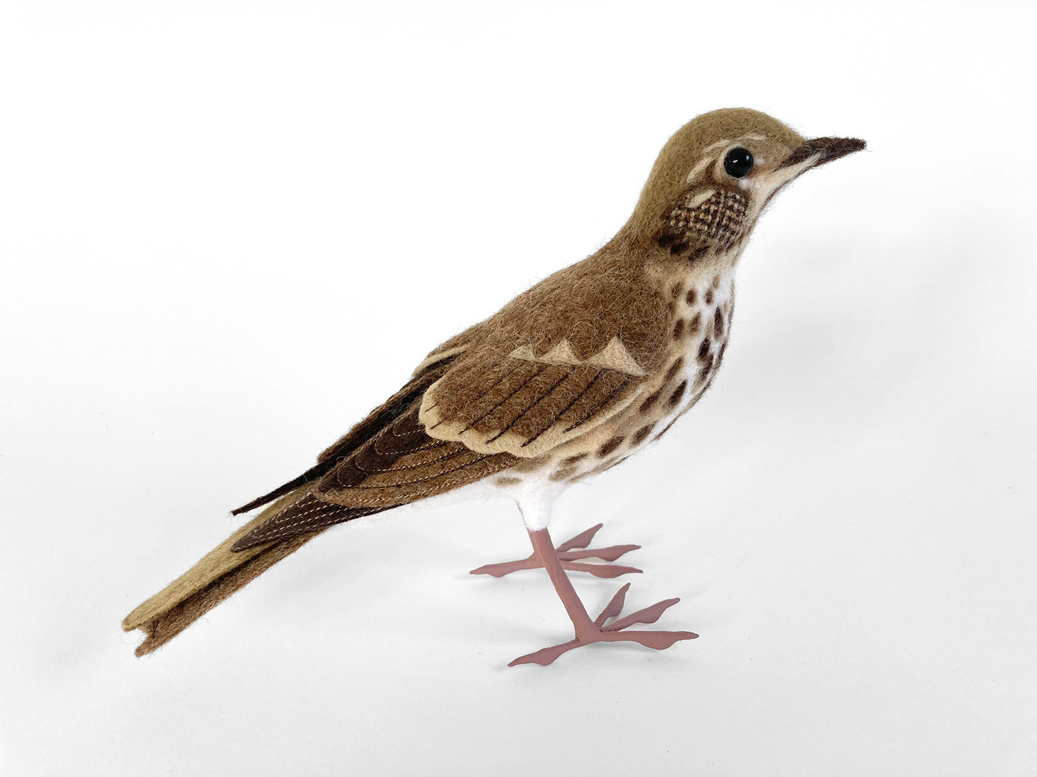Song Thrush by Russell Wilson