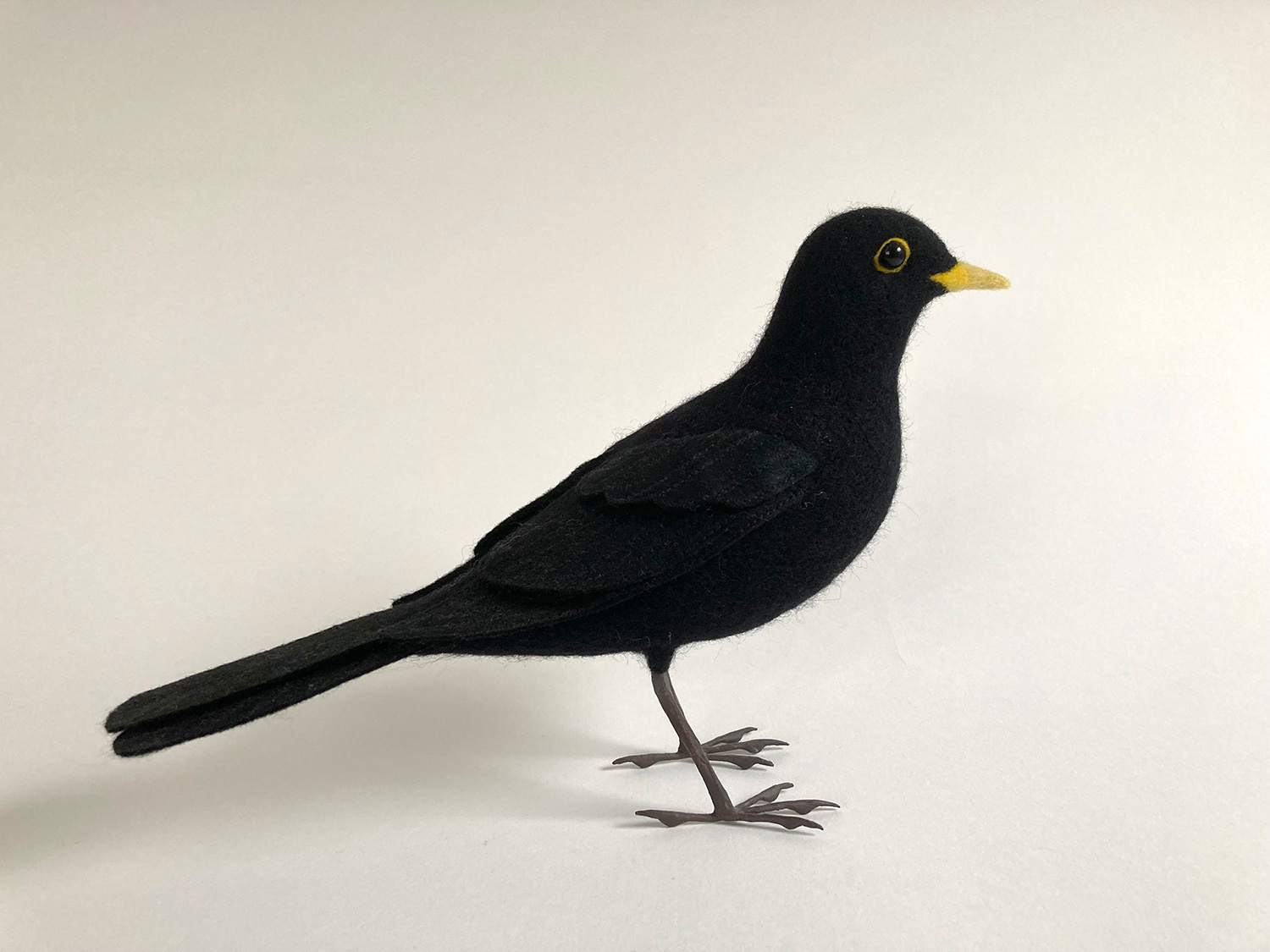 Blackbird by Russell Wilson