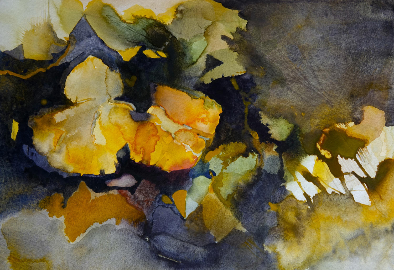 Shades of Autumn by Tony Foster
