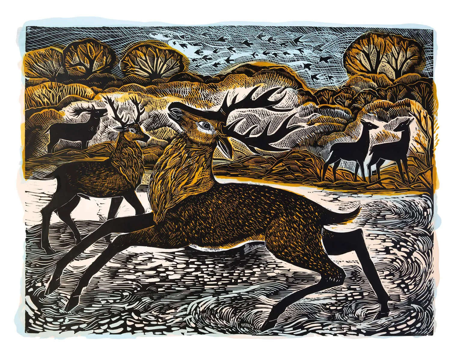 Knepp Red Deer by Angela Harding