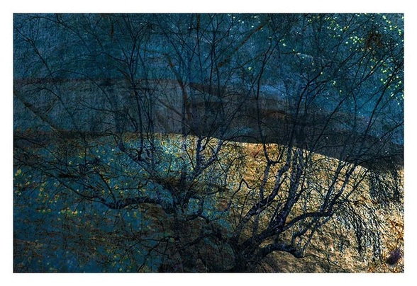 Trees in space by Mark Lovelock