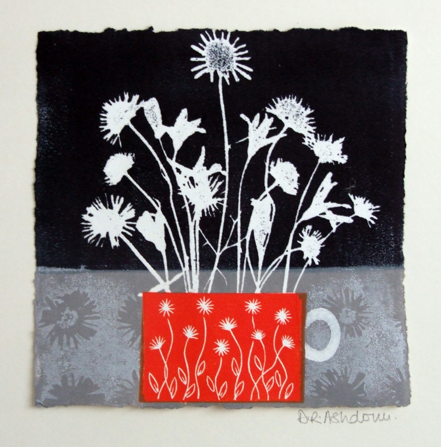Daisies by Diana Ashdown
