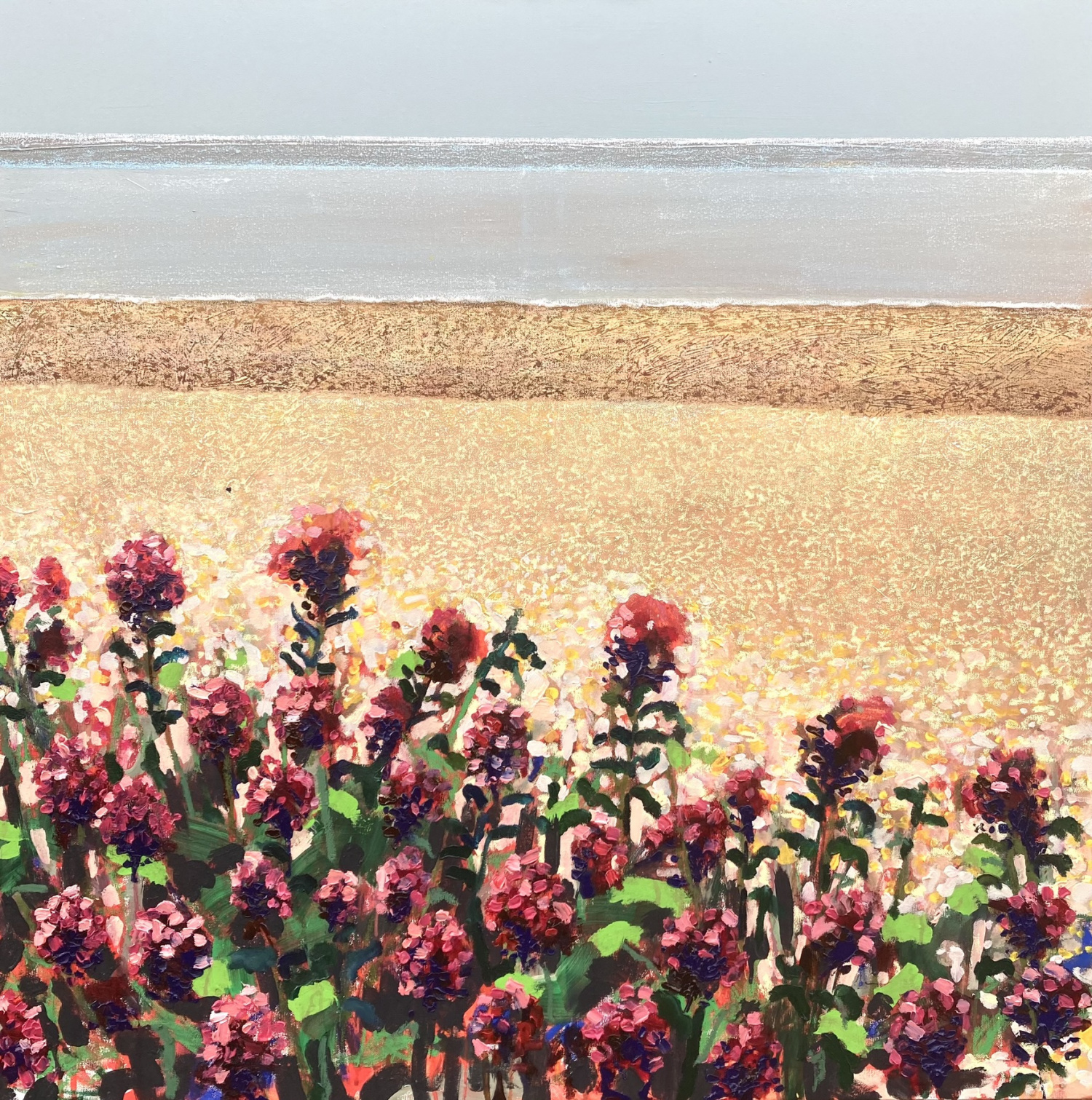 Red Valerian, Aldeburgh by Ben Wardle