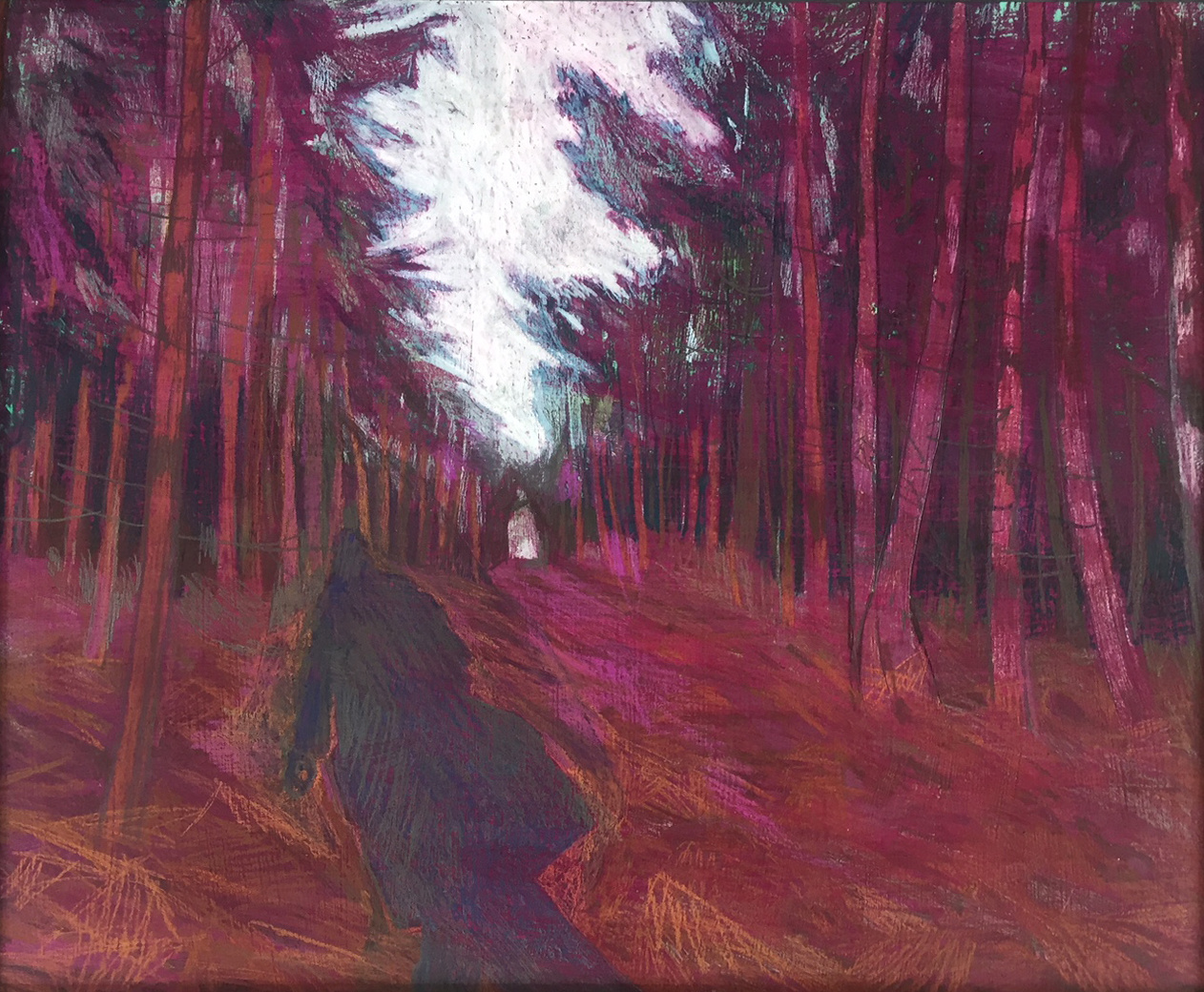 The Sun Blasts Your Shadow by Claire Cansick