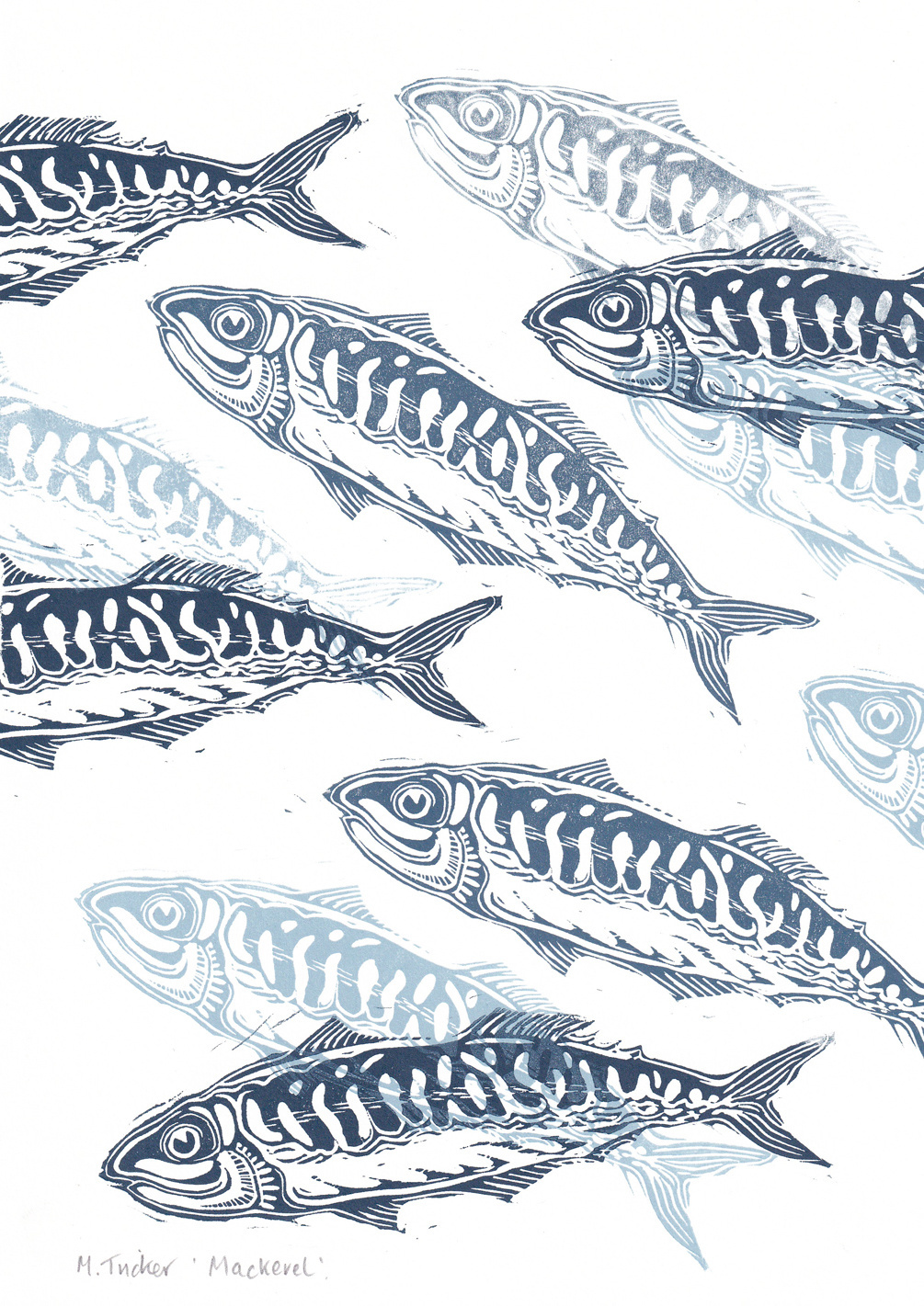 Mackerel by Maude Tricker