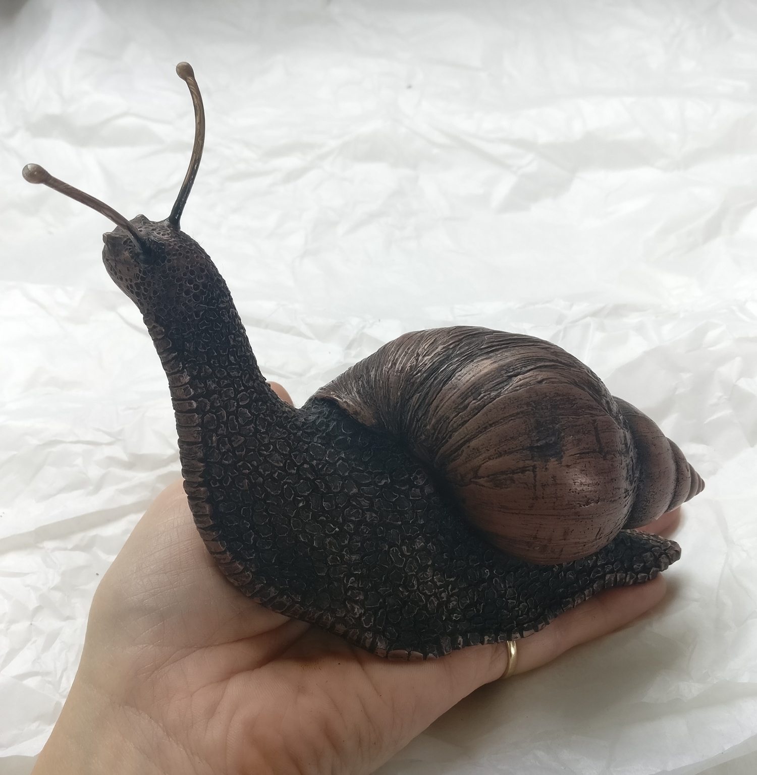 Big Snail by Rachel Watts