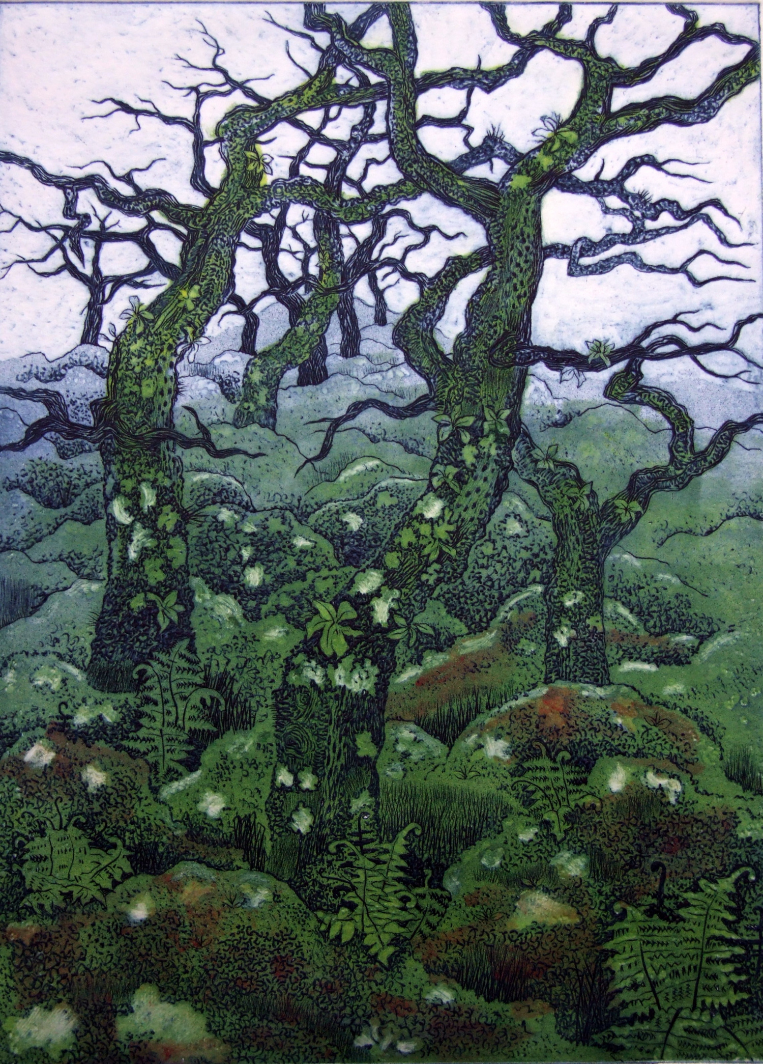 Wistmans Wood by Diana Ashdown