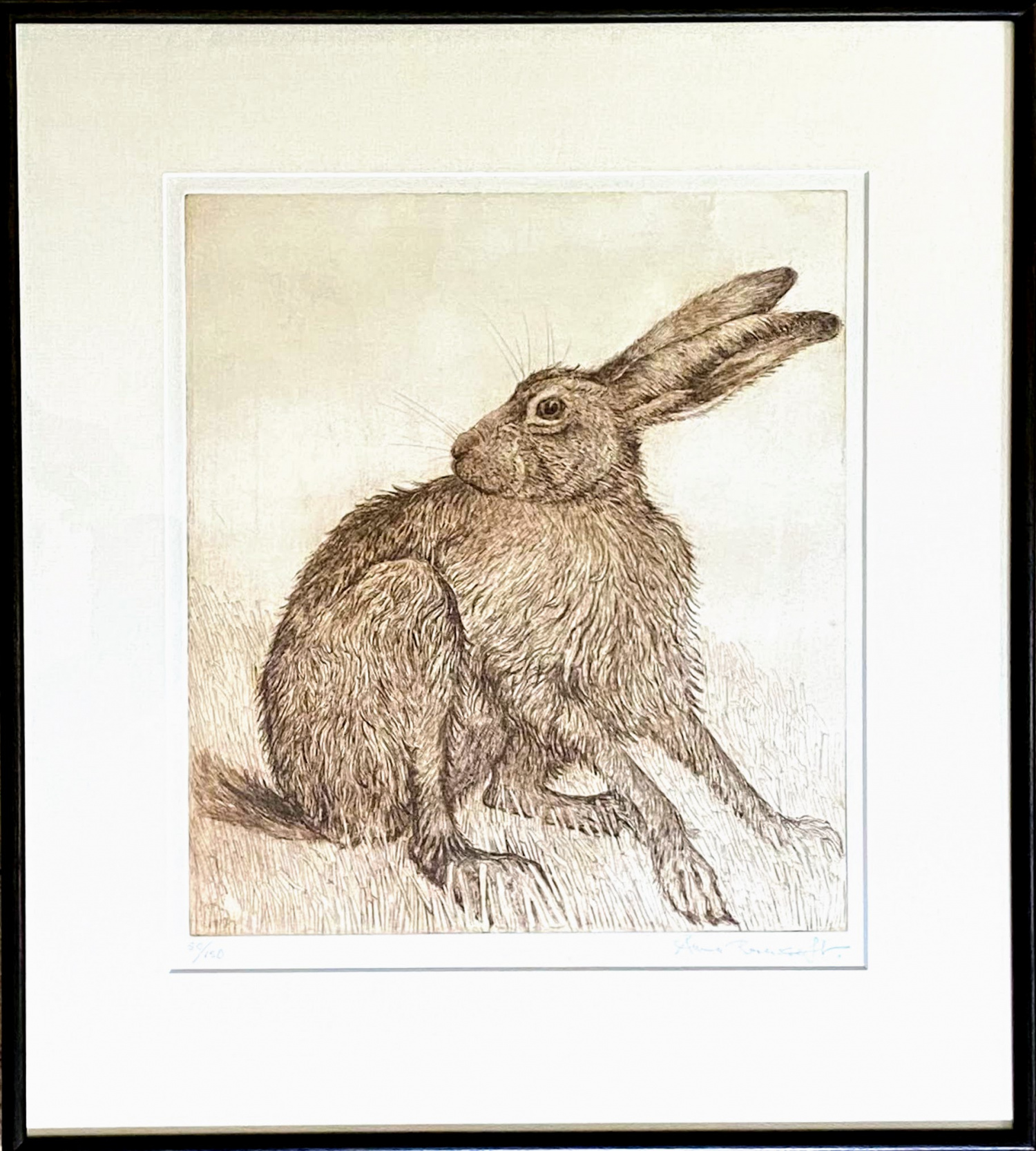 Hare by Anna Ravenscroft
