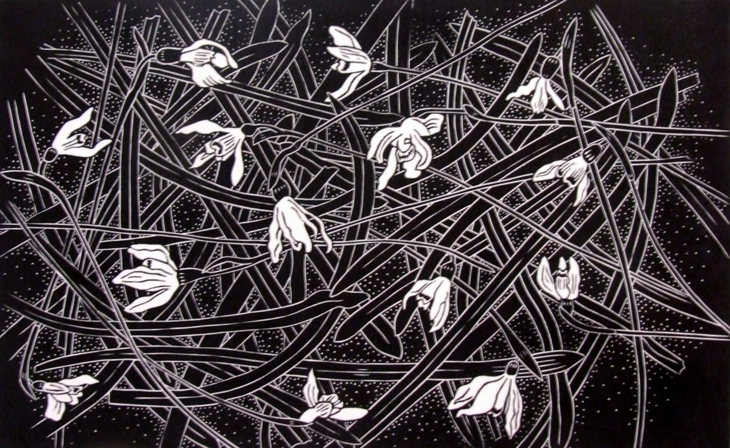Scattered Snowdrops by Diana Ashdown