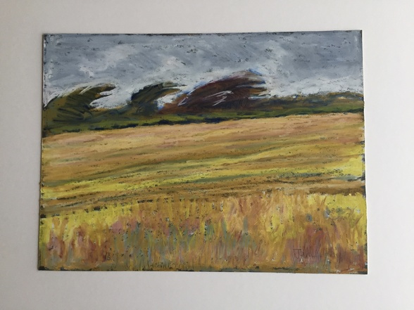 Windswept Trees and Stubble, Newquay by Jan Lindsay