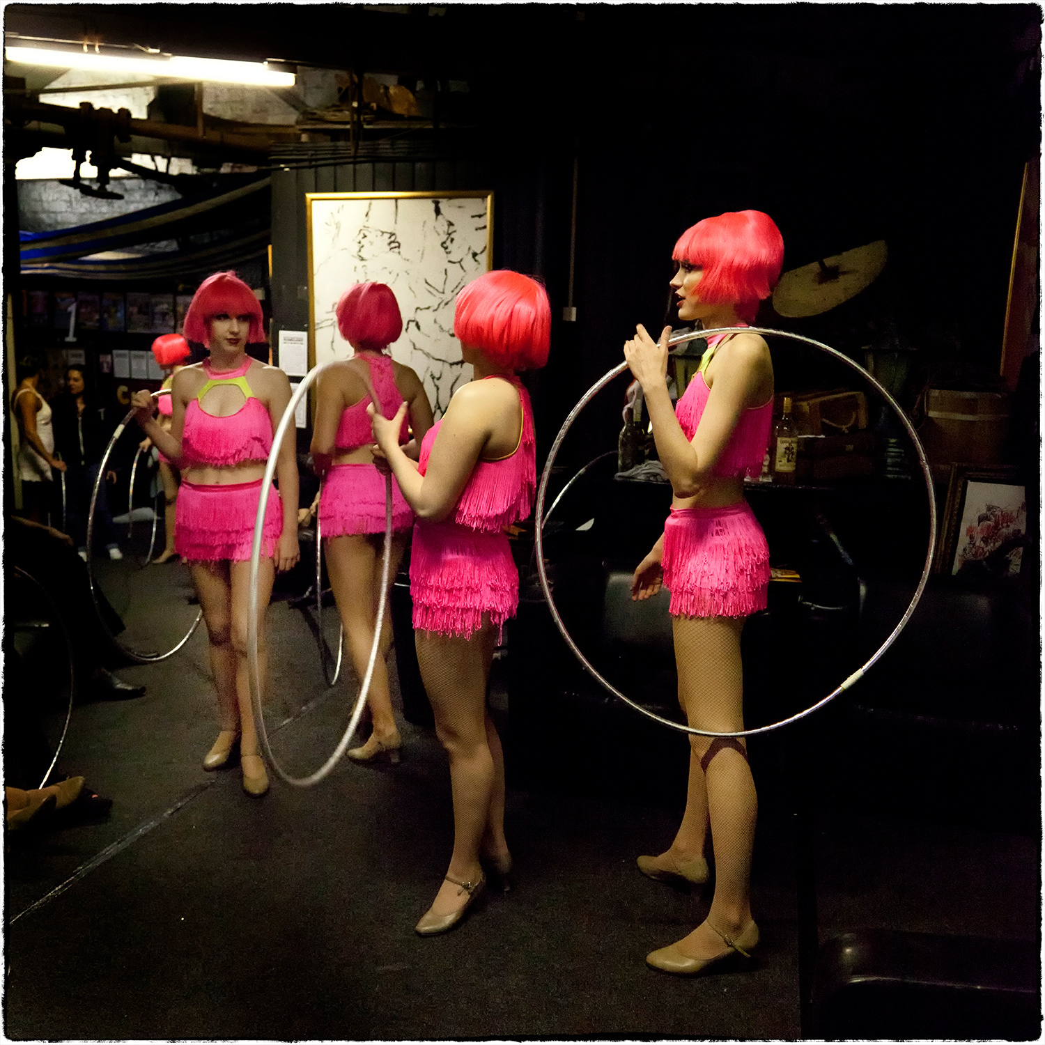 The Circus: Flamingos by David Morris