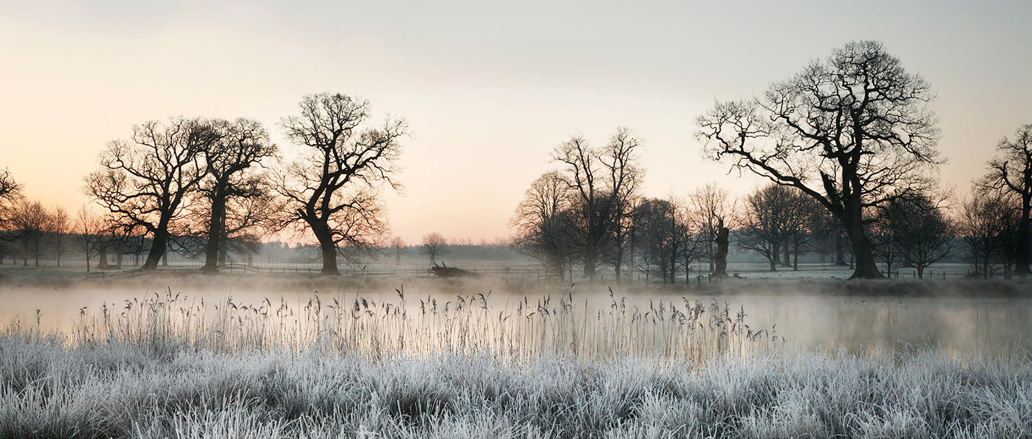 Gunton Park by David Morris